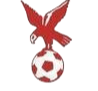 https://img.youfu5.com/img/football/team/4802d26df935b78bb2fcdbbff36e8864.png